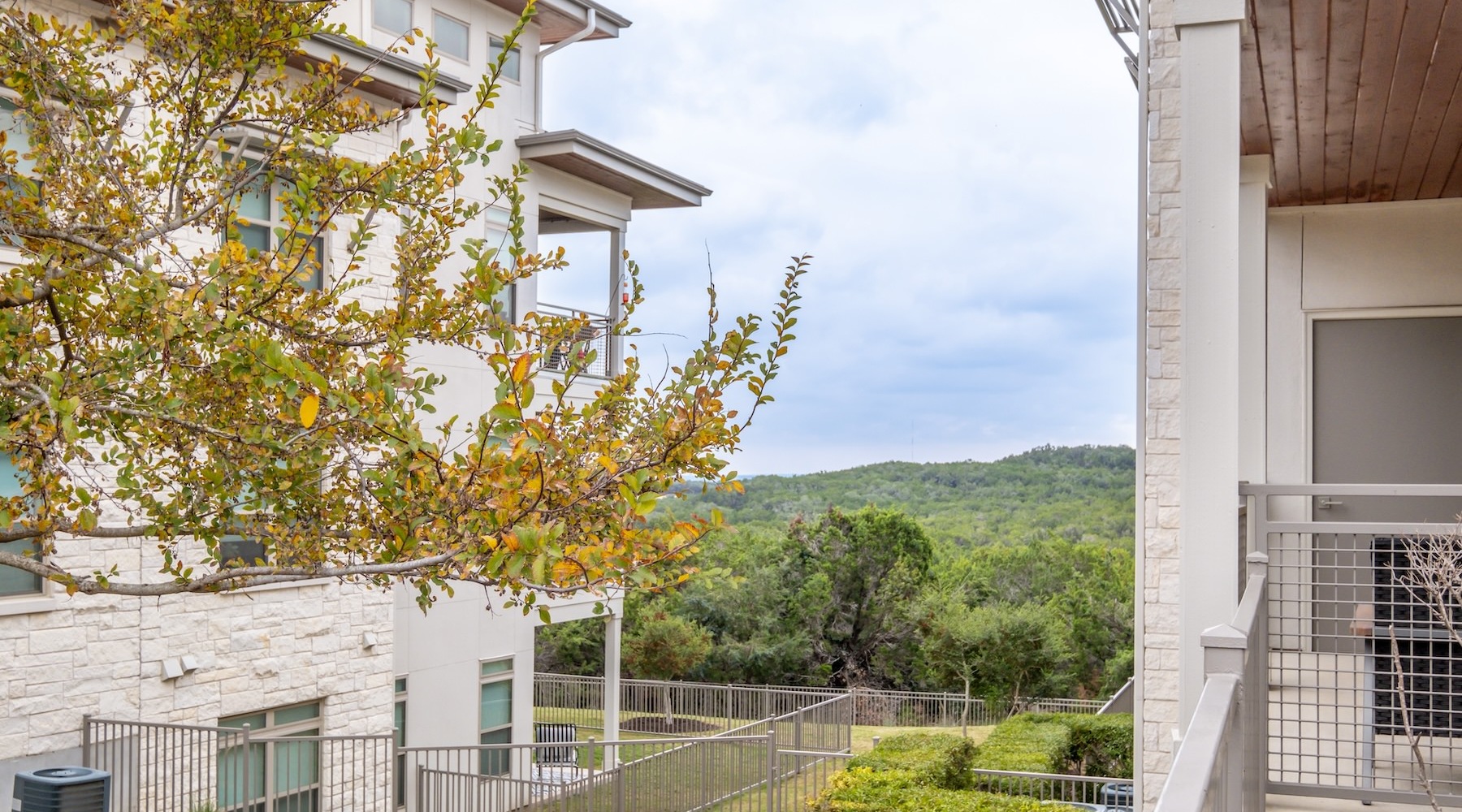 a view of tree-filled hills