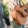 A man playing a guitar