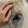 a person petting a horse