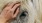 a person petting a horse