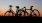 a group of bikes parked on a hill